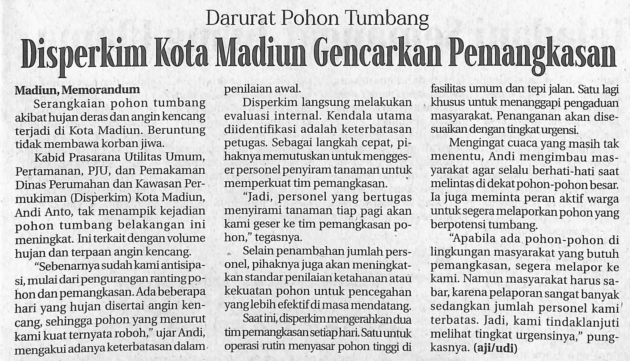 Darurat Pohon Tumbang, Disperkim Kota Madiun Gencarkan Pemangkasan