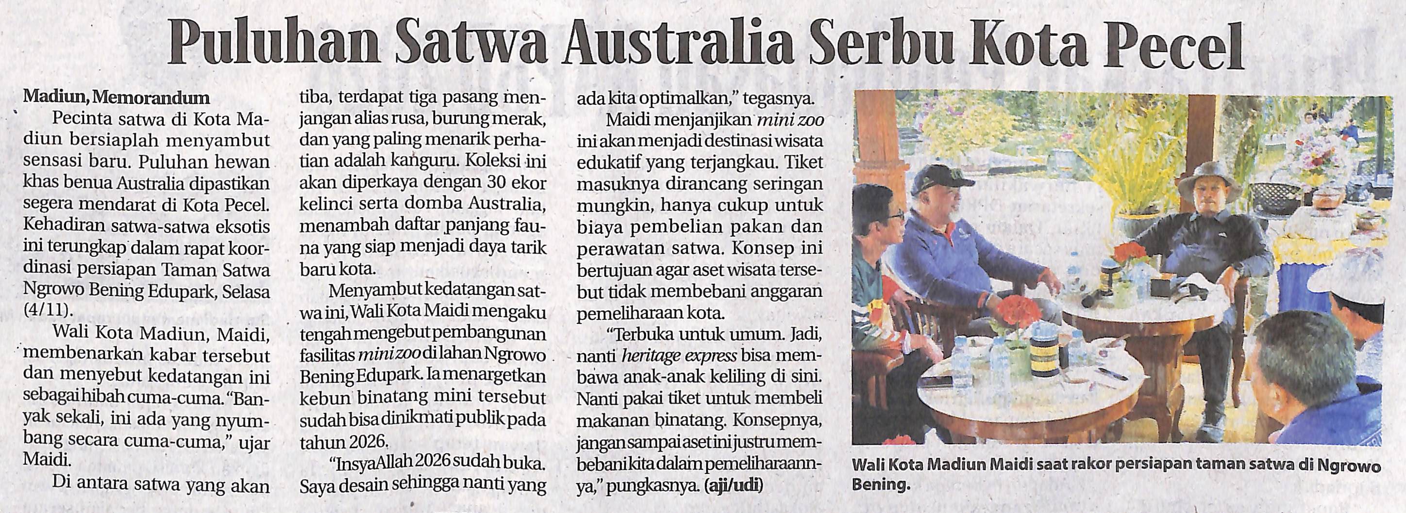 Puluhan Satwa Australia Serbu Kota Pecel