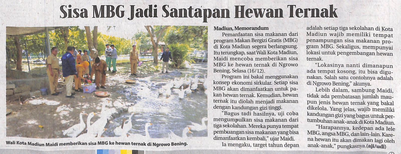 Sisa MBG Jadi Santapan Hewan Ternak