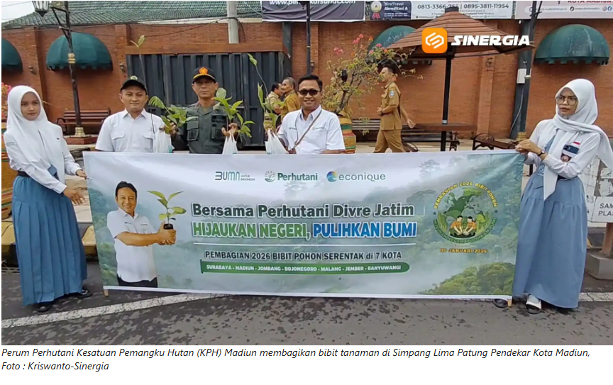 Perhutani Madiun Bagikan 600 Bibit Tanaman, Hijaukan Negeri Pulihkan Bumi