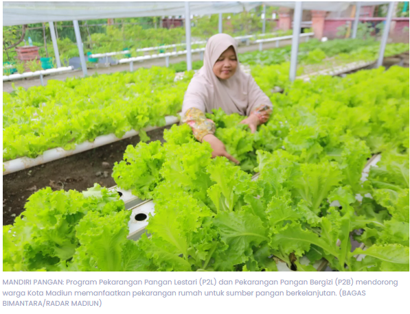 P2L dan P2B Dorong Kemandirian Pangan Warga Kota Madiun