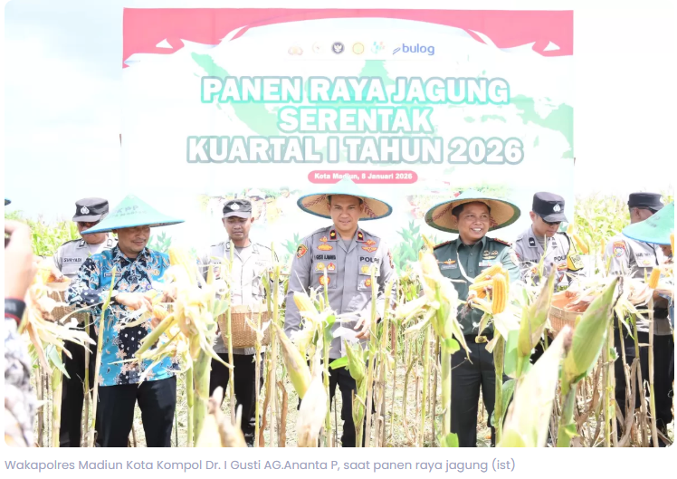 Dukung Swasembada dan Ketahanan Pangan, Polres Madiun Kota Panen Raya Jagung, Hasilkan 2,5 Ton dari Lahan 2 Hektare