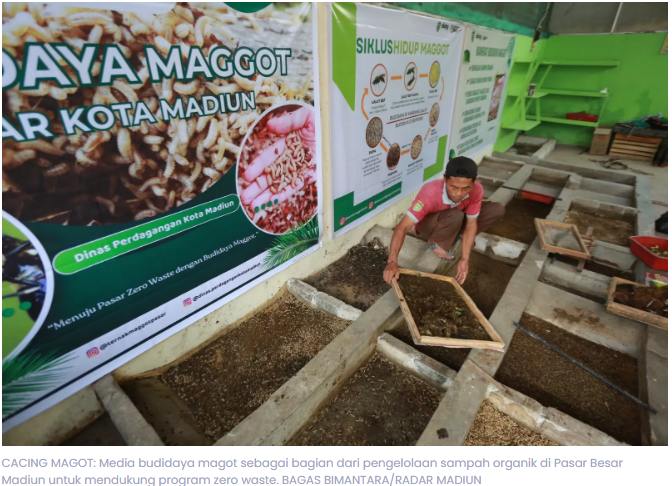 Zero Waste Dimulai dari Pasar Besar Madiun, Sampah Diolah Jadi Pakan Magot