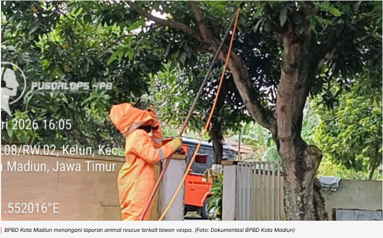 BPBD Kota Madiun Catat Banyak Laporan Animal Rescue Selama Januari