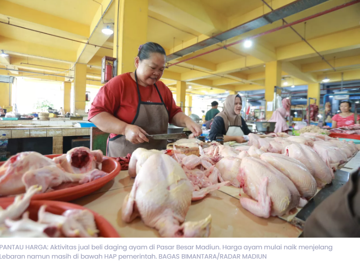 Harga Daging Ayam di Madiun Naik Jelang Lebaran, Kini Nyaris Sentuh Batas HAP