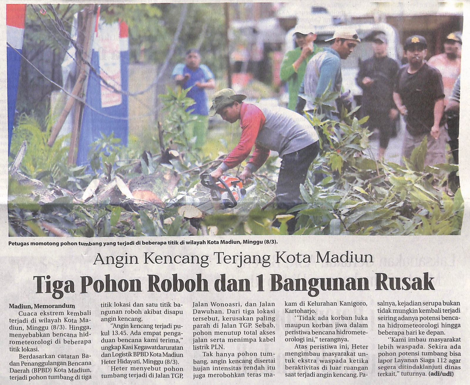 Angin Kencang Terjang Kota Madiun, Tiga Pohon Roboh dan 1 Bangunan Rusak