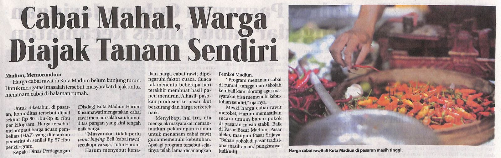 Cabai Mahal, Warga Diajak Tanam Sendiri