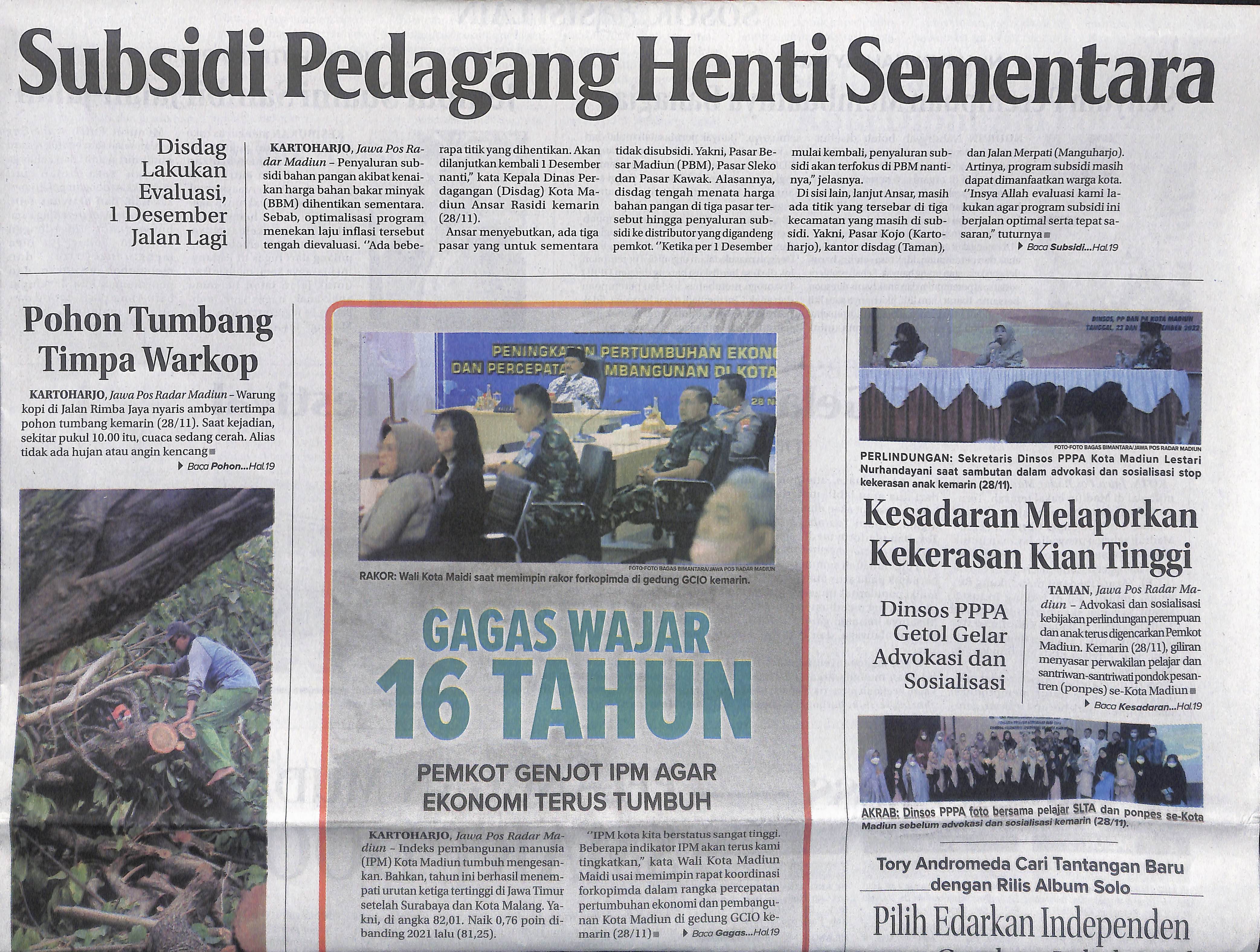 Pohon Tumbang Timpa Warkop