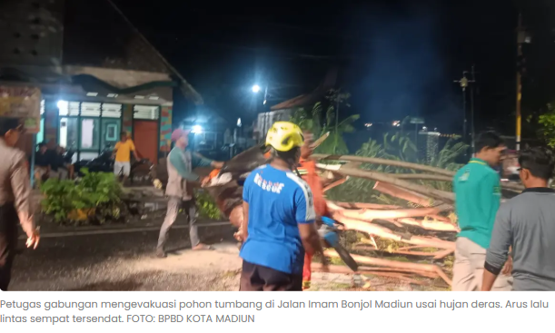 Hujan Deras di Madiun Picu Pohon Tumbang, Jalan Imam Bonjol Sempat Lumpuh