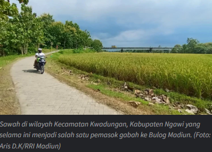 Sampai Maret, Realisasi Serapan Gabah Bulog Madiun Tembus 27 Ribu Ton