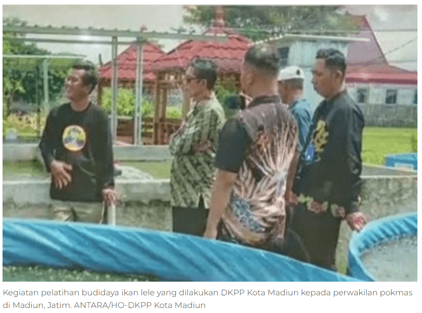 DKPP Madiun beri pelatihan sejumlah pokmas budi daya ikan lele