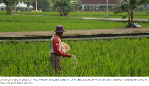 Kuota Pupuk Subsidi Madiun Belum Cukup, Serapan Urea 90 Persen, NPK 69 Persen
