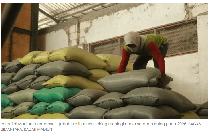Serapan Gabah Madiun Melejit, Impor Beras Tak Diperlukan