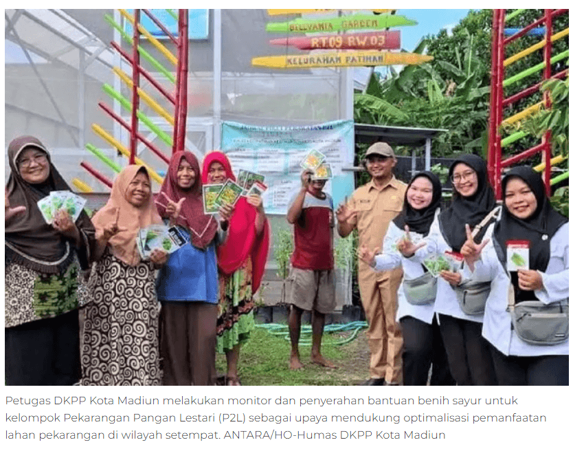 DKPP Kota Madiun gelar pemantauan kelompok pekarangan pangan lestari