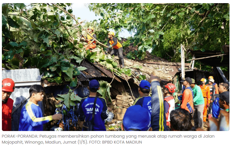 Hujan Angin Rusak Rumah Warga Madiun, Pohon Tumbang di 8 Titik