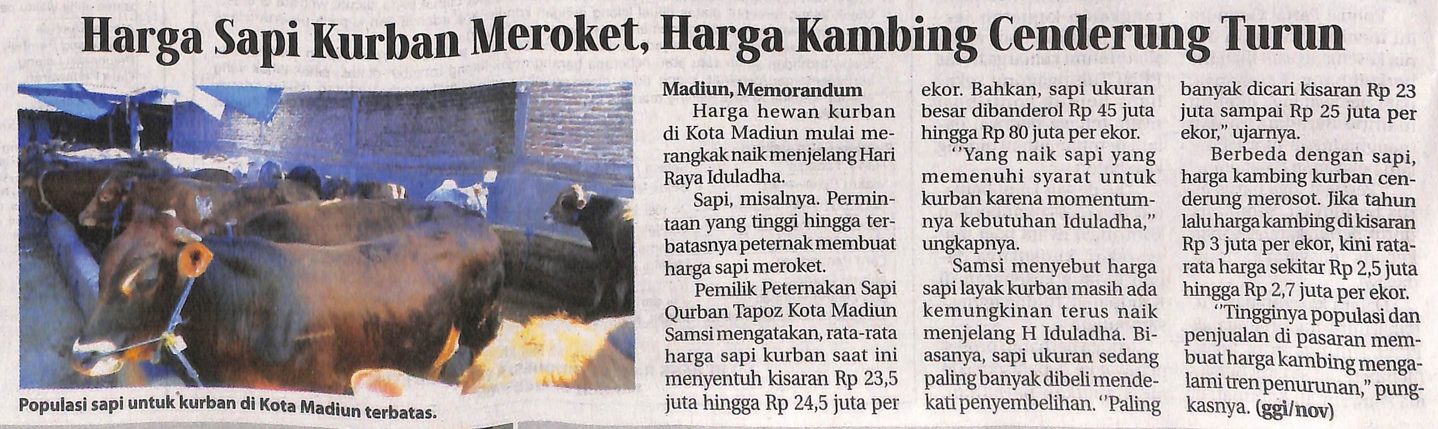 Harga Sapi Kurban Meroket, Harga Kambing Cenderung Turun