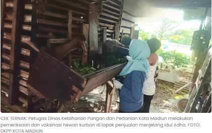 Antisipasi PMK, DKPP Kota Madiun Bentuk Tiga Tim Pengawas Hewan Kurban