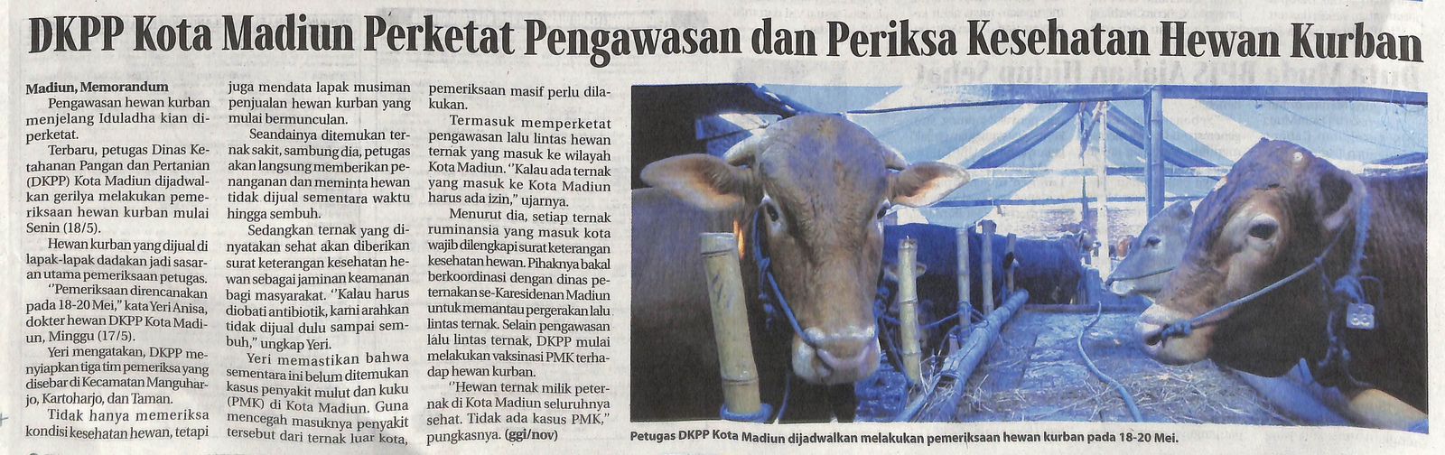DKPP Kota Madiun Perketat Pengawasan dan Periksa Kesehatan Hewan Kurban
