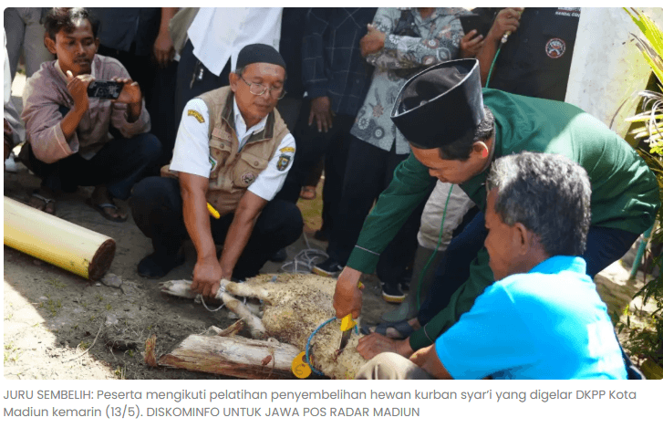 Jelang Idul Adha, Kota Madiun Kekurangan Juru Sembelih Halal Bersertifikat