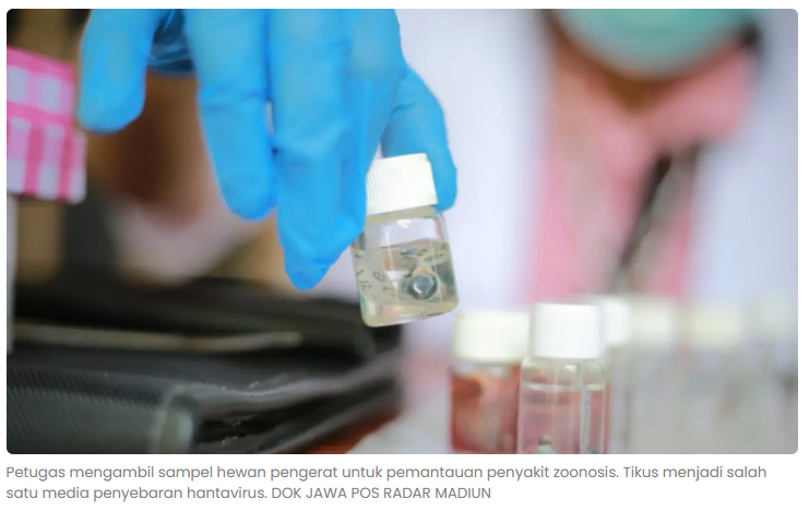 RSUD dr Soedono Madiun Ingatkan Bahaya Hantavirus, Gejalanya Mirip Demam Biasa