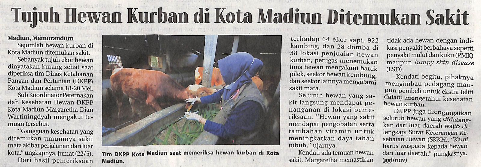 Tujuh Hewan Kurban di Kota Madiun Ditemukan Sakit