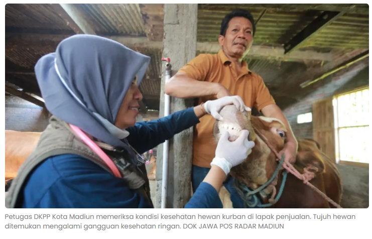 DKPP Kota Madiun Temukan 7 Hewan Kurban Sakit, Warga Diminta Waspada
