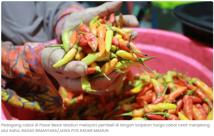 Pasokan Tak Menentu, Harga Cabai Rawit di Madiun Tembus Rp 80 Ribu Jelang Idul Adha
