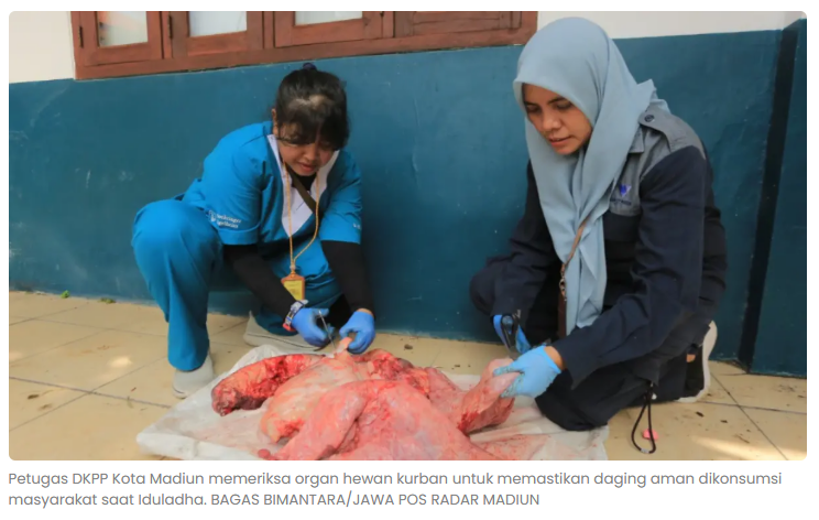 48 Petugas Keswan Disiagakan di Kota Madiun, Temukan Sapi Terpapar Cacing Hati