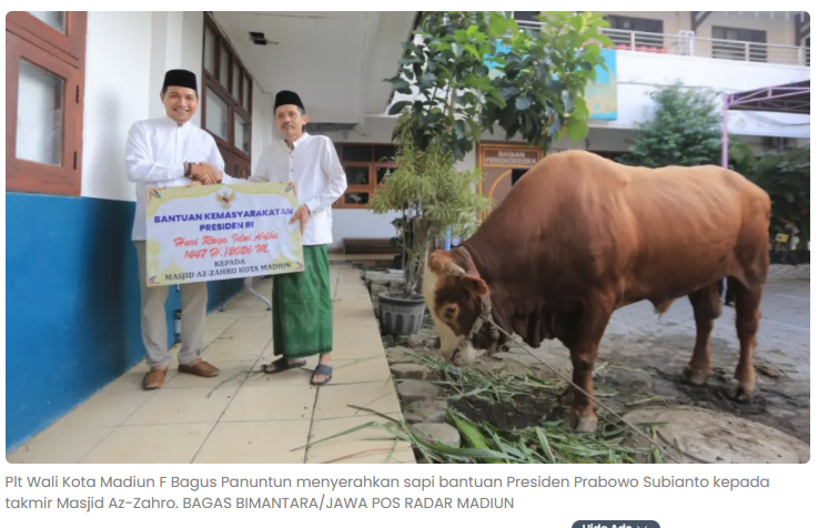 Pemkot Madiun Salurkan Lima Sapi dan 14 Kambing Kurban, Ada Sapi Presiden 1 Ton