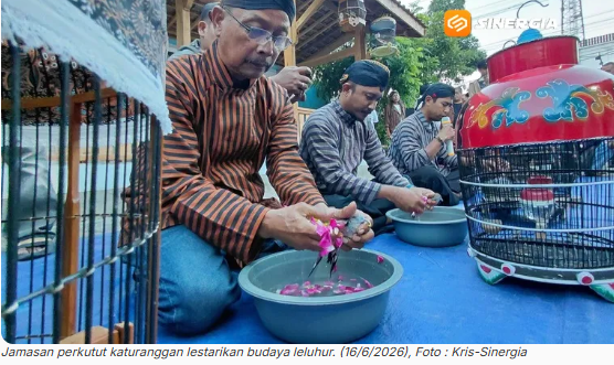 Jamasan Perkutut Katuranggan di Kota Madiun, Merawat Tradisi  Menghidupkan Budaya