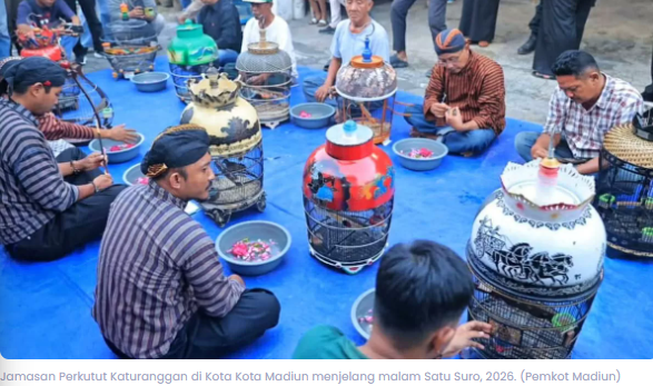 Saat Perkutut Dimandikan Suro: Dari Tradisi Leluhur Menuju Magnet Wisata Kota Madiun