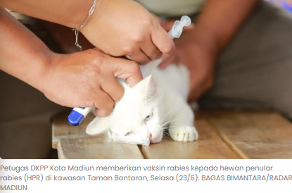 Kota Madiun Vaksinasi Massal Kucing dan Anjing, Pertahankan Status Zero Rabies