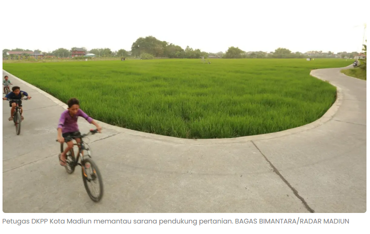 Hadapi El Nino, Kota Madiun Siagakan 1.071 Sarana Irigasi dan Pompanisasi