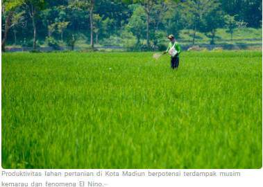 Hadapi Ancaman El Nino, DKPP Kota Madiun Siagakan 1.071 Sarana Irigasi Cegah Gagal Panen
