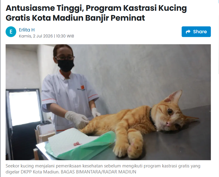 Antusiasme Tinggi, Program Kastrasi Kucing Gratis Kota Madiun Banjir Peminat