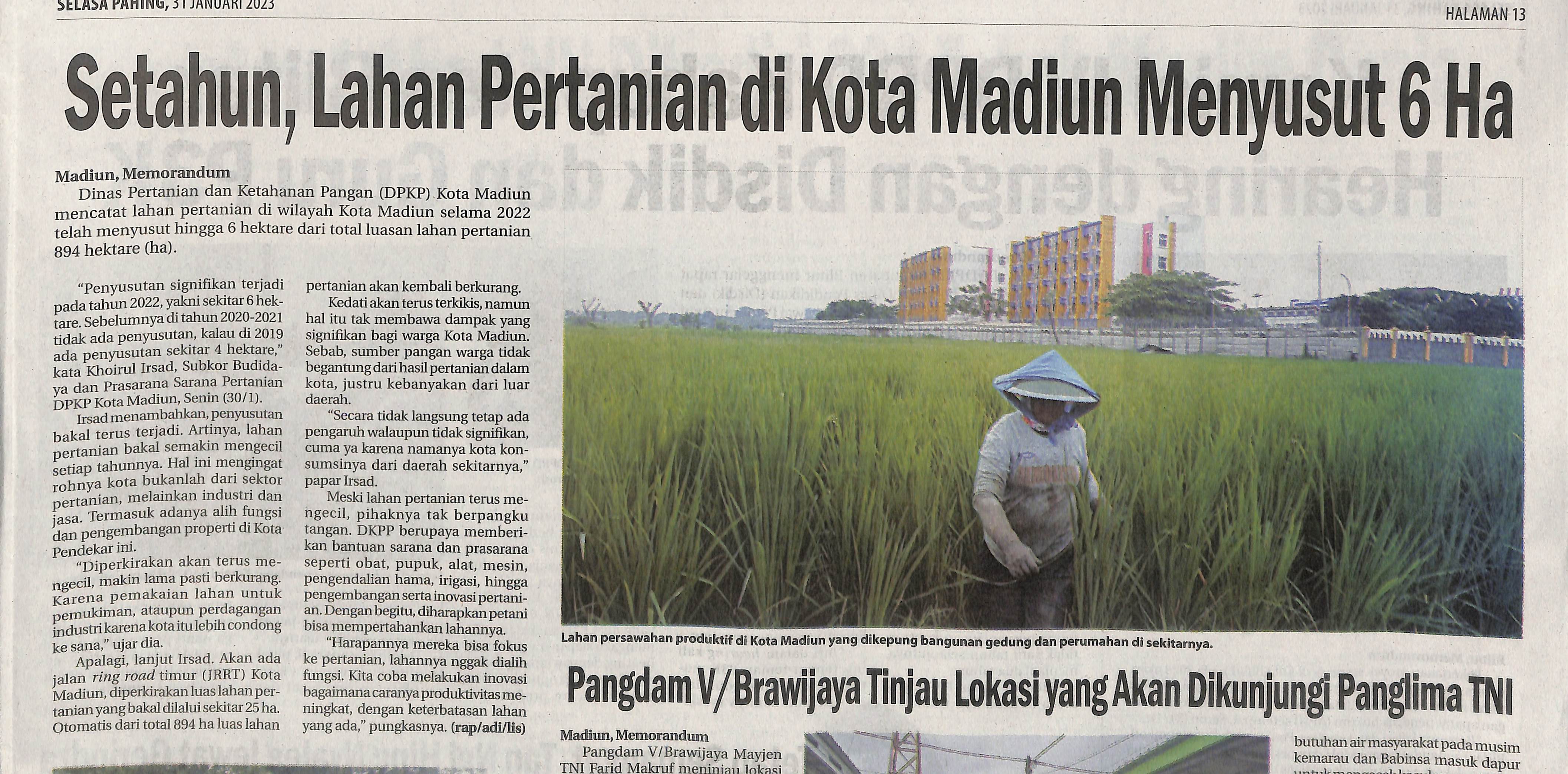 Setahun, Lahan Pertanian di Kota Madiun Menyusut 6 Ha