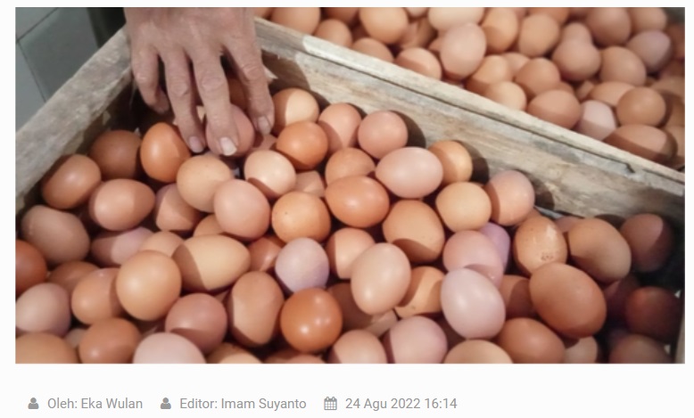 Harga Telur di Kota Madiun Tembus Rp30 Ribu per Kilogram