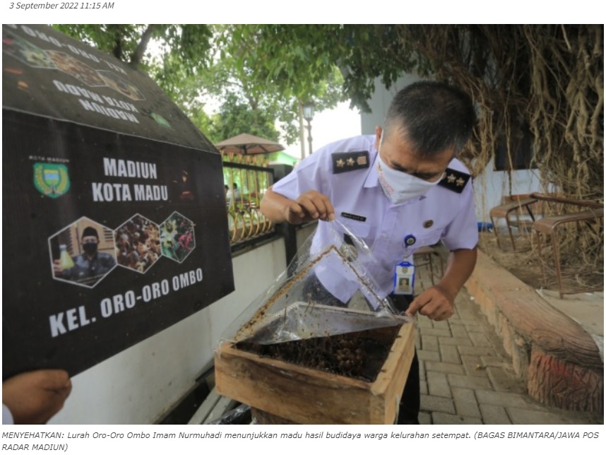 Peluang Ekonomi dari Budidaya Lebah Madu Klanceng