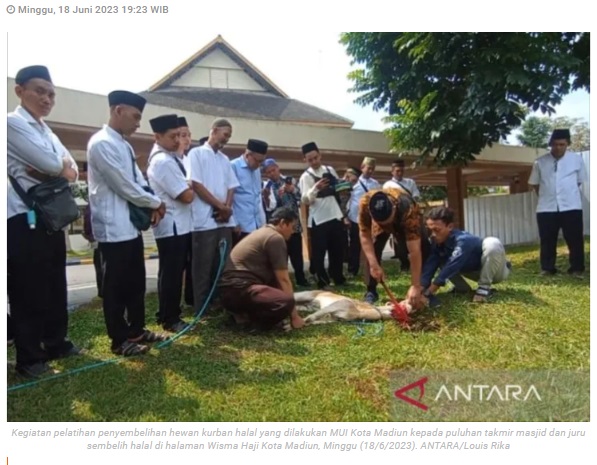 MUI Kota Madiun latih cara sembelih hewan kurban yang halal