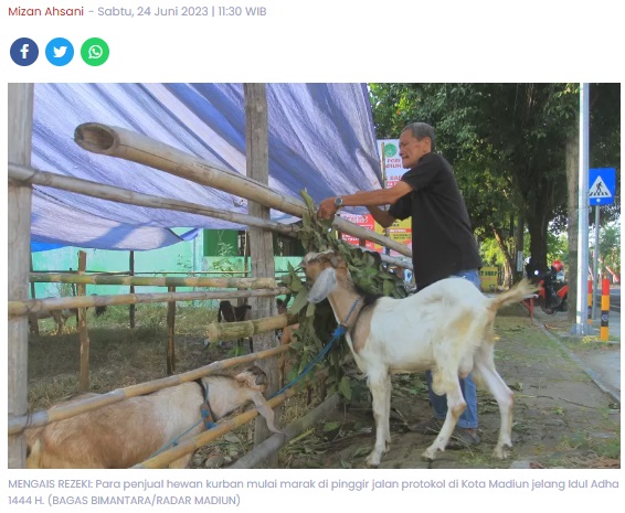 Sambut Idul Adha, Pemkot Madiun Bakal Periksa Serentak Hewan Kurban