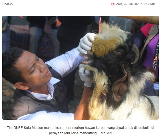 DKPP Kota Madiun Pastikan Hewan Kurban Aman Dari PMK