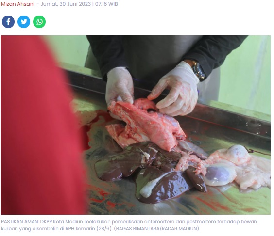 Hasil Pemeriksaan, 4 Sapi di RPH Kota Madiun Terinfeksi Cacing Hati