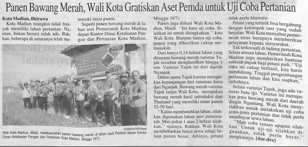 Panen Bawang Merah, Wali Kota Gratiskan Aset Pemda untuk Uji Coba Pertanian