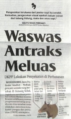 Waswas Antraks Meluas, DKPP Lakukan Penyekatan di Perbatasan