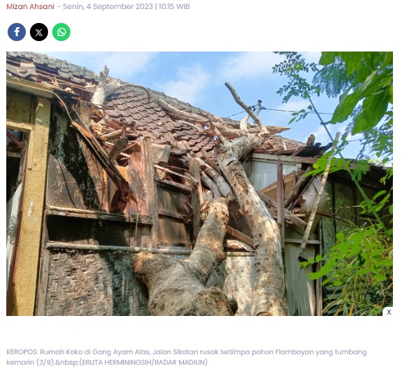 Pohon Lapuk Timpa Rumah Warga Kota Madiun