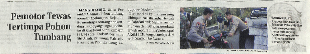 Pemotor Tewas Tertimpa Pohon Tumbang