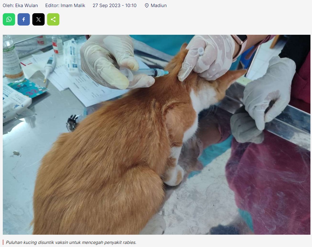 Cegah Penyakit Rabies, DKPP Kota Madiun Gelar Vaksinasi