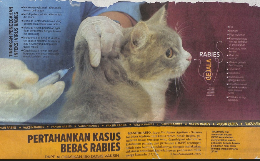 Pertahankan Kasus Bebas Rabies, DKPP Alokasikan 150 Dosis Vaksin