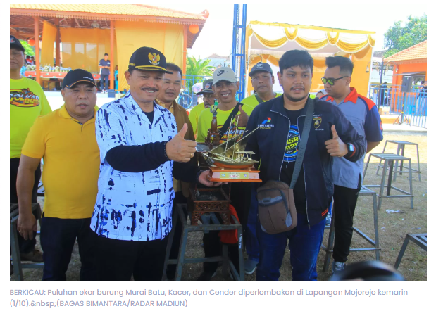 Dicari! Burung Murai Batu–Kacer Paling Cerewet