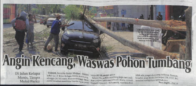 Angin Kencang, Waswas Pohon Tumbang
